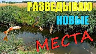 Поехал в разведку по новым местам. Рыбалка на экраны.