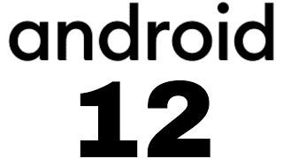 When you'll Get Android 12 update in Your Phone