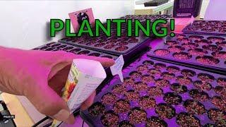 Planting Tips from Planet Mojo