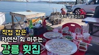 강릉 어부 추천 직접 잡은 자연산 회 떠주는 강릉횟집 koreafoodmukbang