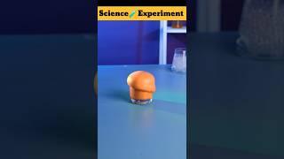 Science experiments #shorts #experiment