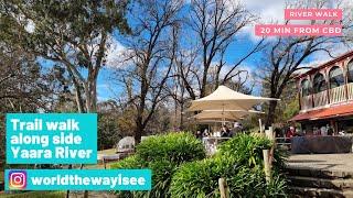 Yarra Bend Park | Trail walk along the Yarra River #4K