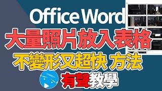office word | 大量照片放入表格-超迅速方法
