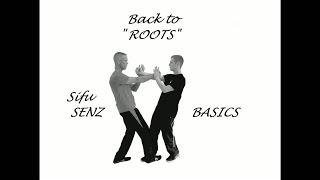 Wing Chun BASICS 1.1 b: Siu Nim Tao Satz 1. Gaan Sao gewendet