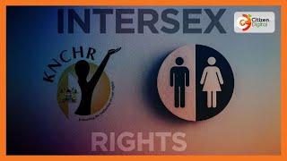 What Intersex Persons Bill 2023 drafted by KNCHR entails