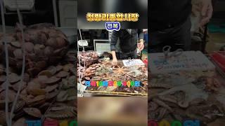 청량리종합시장 ~^ 힐링여행