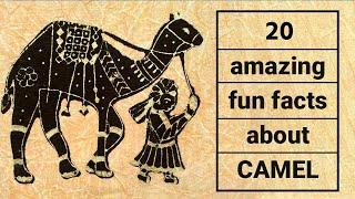 Exploring 20 Amazing Fun Facts about Camels | The Animal Explorer