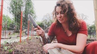 My Favorite GARDEN TOOLS | Roots and Refuge Farm