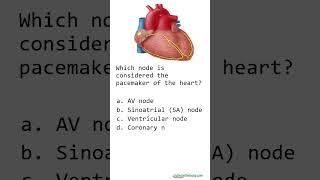 CLINICAL FOUNDATIONS - SA NODE