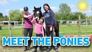 MEET THE PONIES 2 - MEET ALL 11 PONIES ON OUR YARD