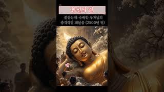 " 불안장애 극복한 부처님의 충격적인 깨달음 (2500년 전)"#부처님 #불교 #명상 #깨달음 #지혜 #평안 #마음챙김 #선불교 #법문 #부처#미래불안 #두려움 #걱정