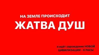 Жатва душ / Зарождение Новой Цивилизации / 6 раса / БУДУЩЕЕ ЗЕМЛИ #ченнелинг #эзотерика #будущее