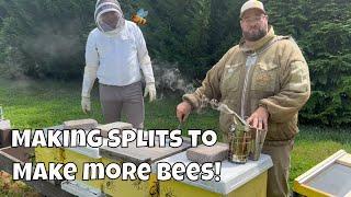 How we make honeybees | Beekeeping