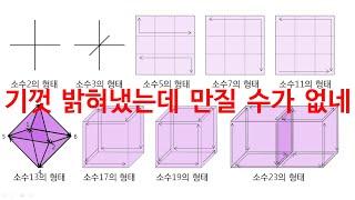 리만가설해석2)형태는 관점이자 정보이다.