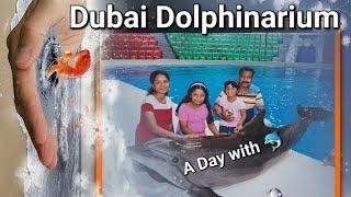 Dubai Dolphinarium | Dolphin & Seal Show Fan Cut | Best of Dubai Atrractions #dolphinshow #dubai