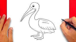 How to draw Pelican - Easy Drawing Pelican