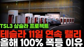 테슬라 11일 연속 랠리 중, 올해 100% 폭등 이유 ( TSL3 삼슬라 프로젝트, 핵심영상 )
