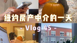 Vlog45|纽约房产中介的一天|纽约租房