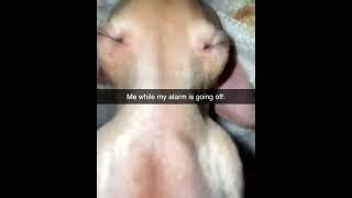 me while my alarm is going off