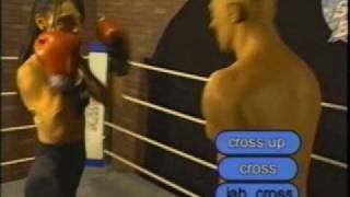 STEELEBOXER  ONLINE BOXING/KICKBOXING TRAINING PROGRAM www.steeleboxer.com