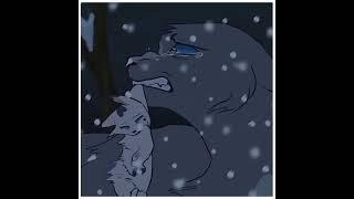 Are you satisfied? || Bluestar edit || #warriorcats #edits #bluestar