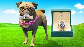 Dog Robs $100 Bill & Rolex From The Bank Vault.. (GTA RP)