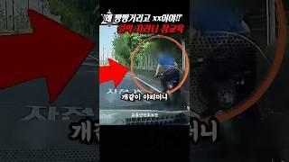 1차로 길막 자라니 사이다 결말