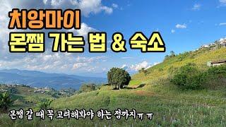 ️치앙마이 몬쨈에서 겨울을 느끼다! 150바트에 몬쨈 가는 법 & 숙소 후기