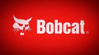 Bobcat Equipment   One Tough Animal