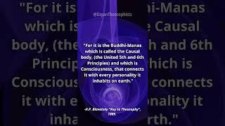 What is the Causal Body? Buddhi-Manas (5th and 6th principles).