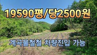 계곡물철철 19590평 완벽한땅 너무     급해 평당2500원 급매 가격절충가능