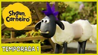 A Tosquia  Shaun, o Carneiro [Shaun the Sheep]  Episódio Completo | Cartoons Para Crianças