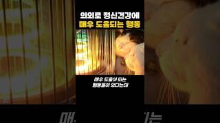 의외로 정신건강에 매우 도움되는 행동