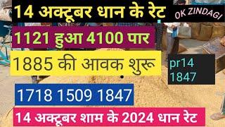 1121 हुआ 4100 पार | 1885 की आवक शुरू ,| 1718 1847 1509 super52 paddy price today | धान रेट