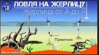 ЖЕРЛИЦА на ЩУКУ и др. Где и как ловить? ЗНАЙ И ЛОВИ. Школа рыбалова.(Ч.1)