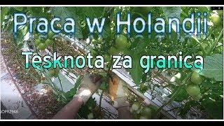 Tęsknota za granicą. Rodzina, Polska i miejsca. Praca w Holandii.