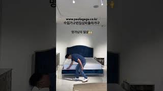 #237 중부권 최대 수입가구 아울렛 파올라가구 대표의 일상