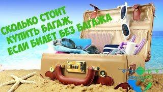 Сколько стоит багаж в самолете если билет без багажа?! AirBaltic #Авиамания