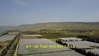 מבוא חמה במספרים