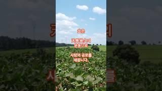 노자 도덕경 [민민의  바른풀이] 私 vs 玄, 사랑과 自他共滅