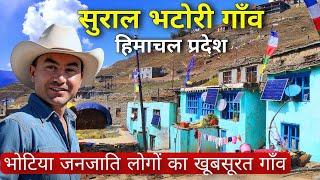 Village Life In Himachal Pradesh | Sural Bhatori Village Pangi Valley | Pahadi village Life Vlog