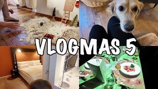 Vlogmas 5 | Junior Suite in Stuttgart | 3D Dinner