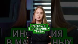 Как инфекция ПОПАДАЕТ в маточные трубы  #ГинекологическиеЗаболевания #ЖенскоеЗдоровье #гинекология