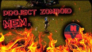 Project Zomboid MEMe 3D