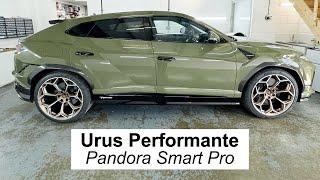 Urus Performante Pandora Smart Pro | Dragon Car Alarms | Fareham