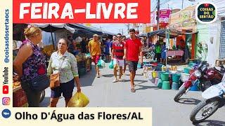 Visitando a feira-livre em Olho D'Água das Flores/Alagoas em setembro de 2024.