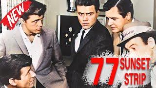 77 Sunset Strip Full Episodes 2024  Private Detective Drama Series  Popular American Tv Show 2024