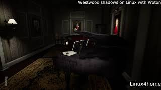 Westwood shadows on Linux, Proton