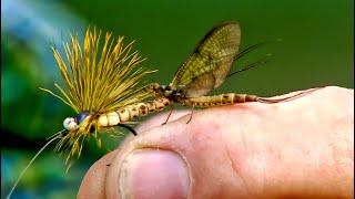 Oliver Edwards Ties his Masterclass Mohican Mayfly