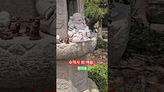 수덕사의 여승#정의송